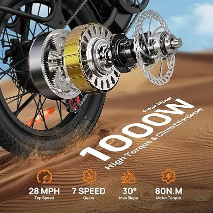 URLIFE E20 1000W Fat Tire Electric Bike With Removable Battery
