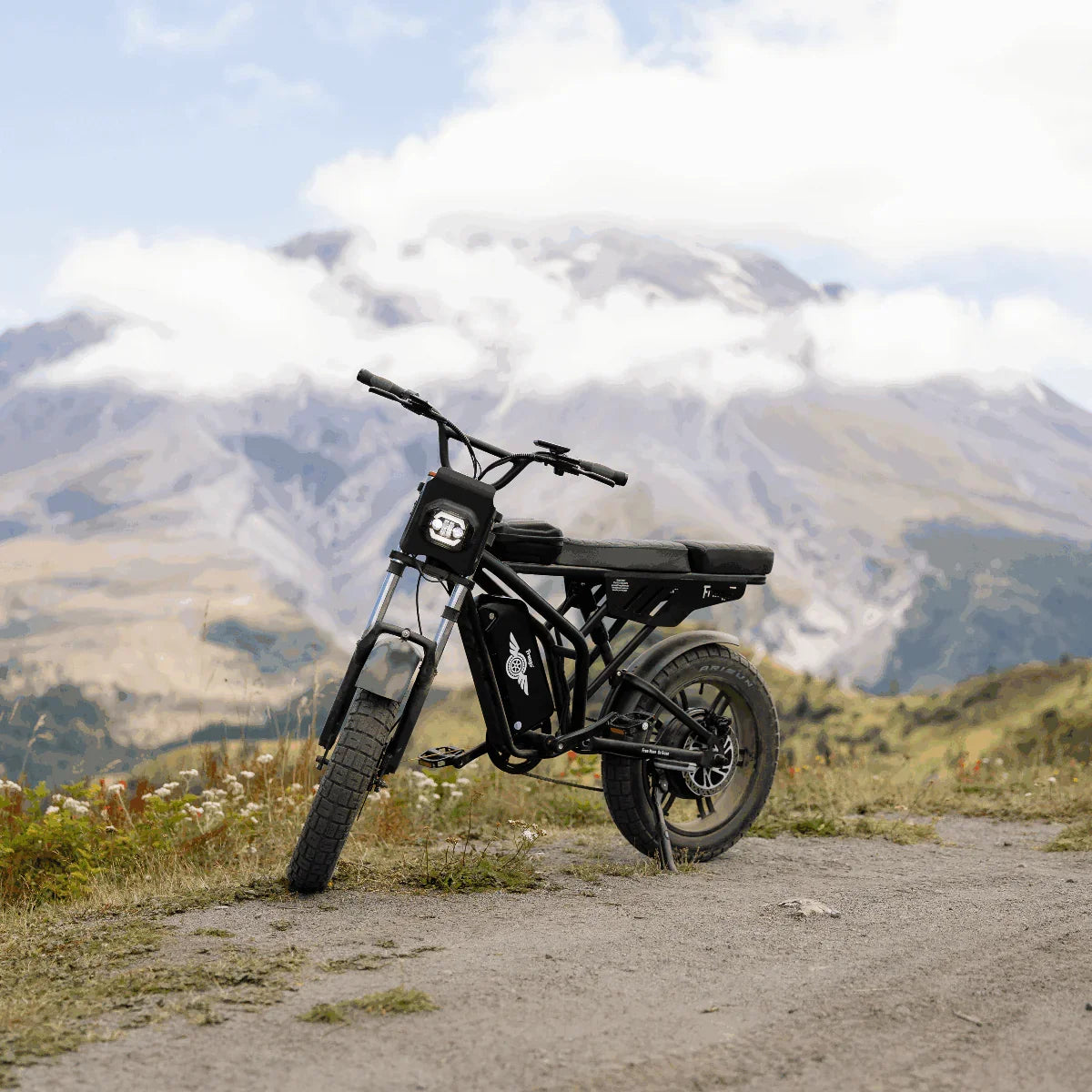 Freego F2 Pro Max Electric Bike For Adults 60V 18Ah Fat Tire