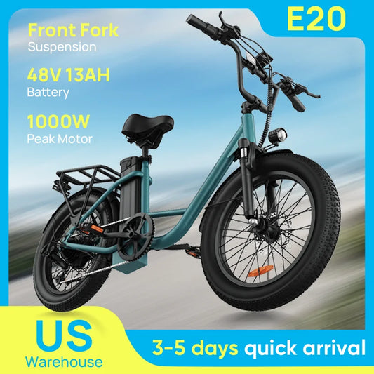 URLIFE 1000W E20 Electric Bike With 48V 13Ah Removable Battery