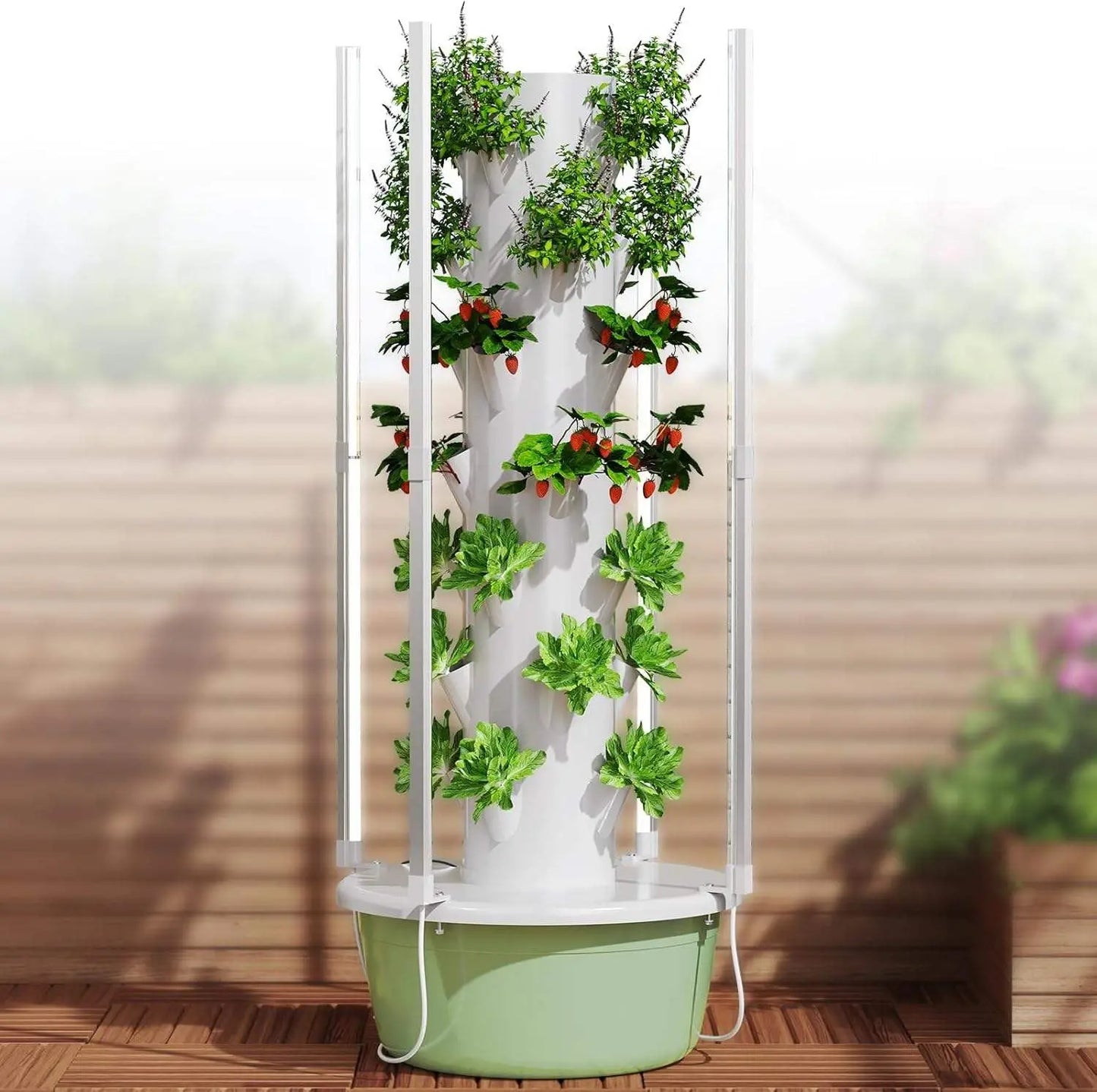 Hydroponic Growing Kit System With LED Grow Lights Indoor